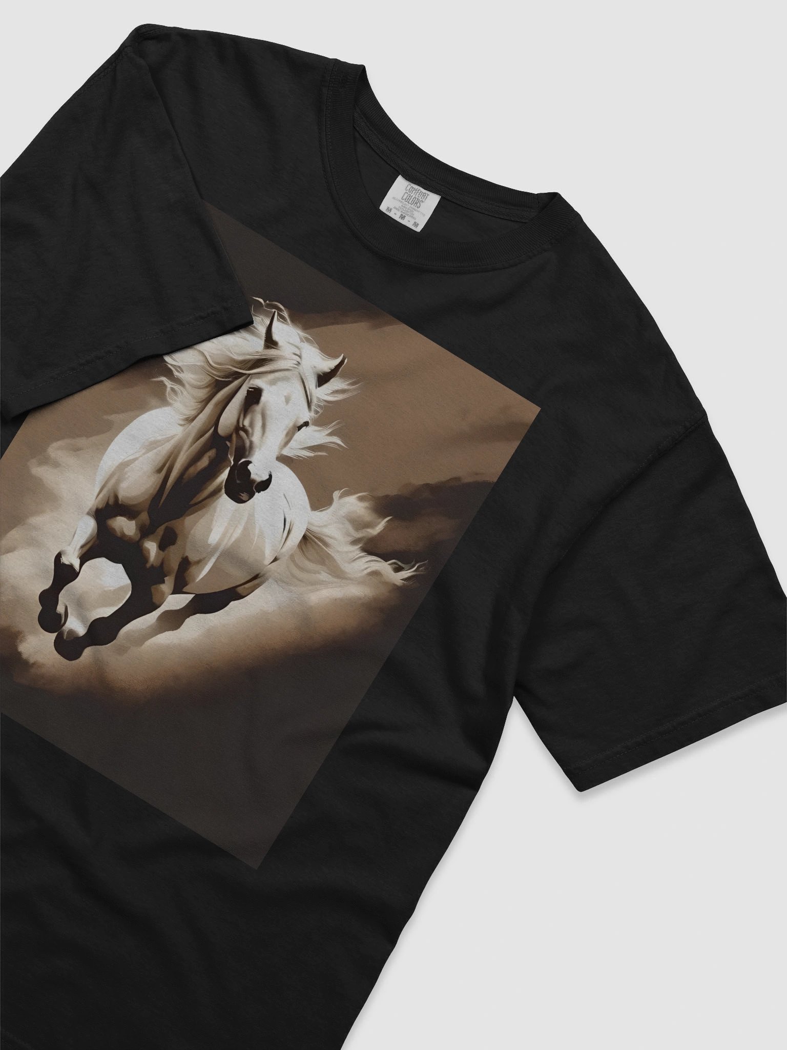 Willpower Garment-Dyed Heavyweight T-Shirt product image (48)