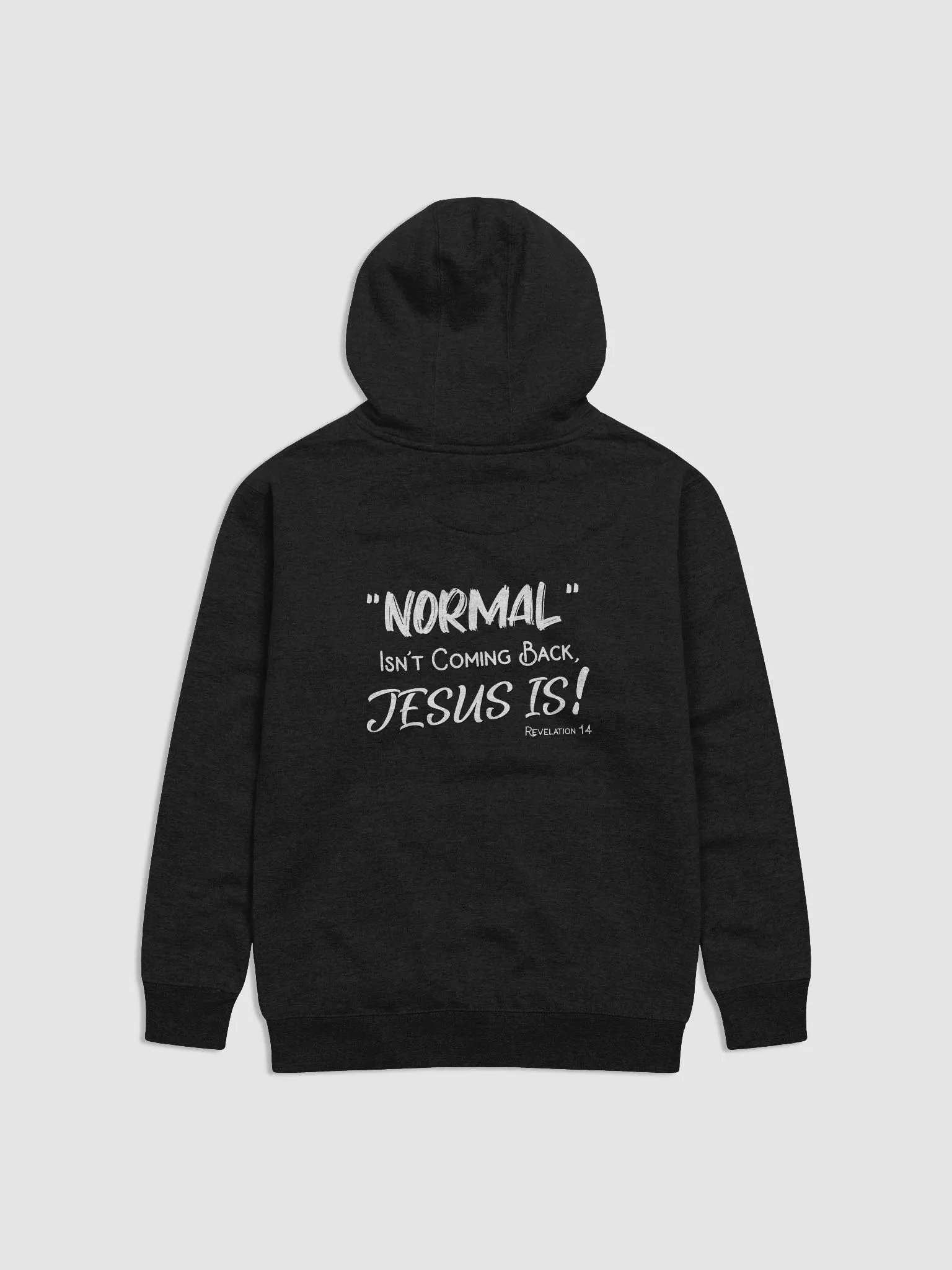 Revelation 14 | Hoodie product image (21)
