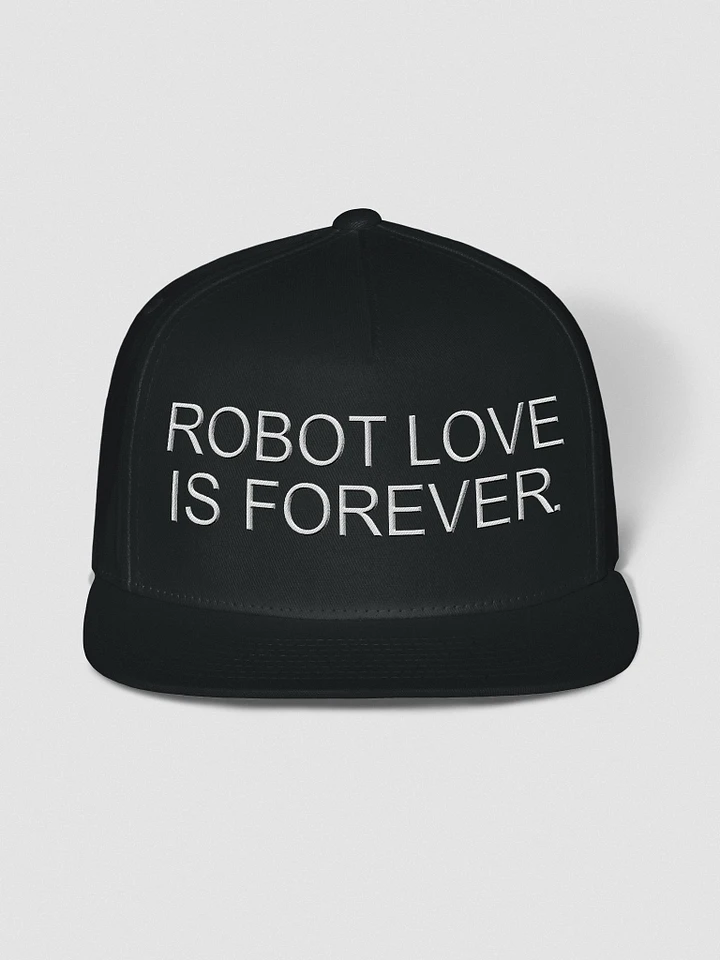Robot love embroidered snapback hat product image (4)