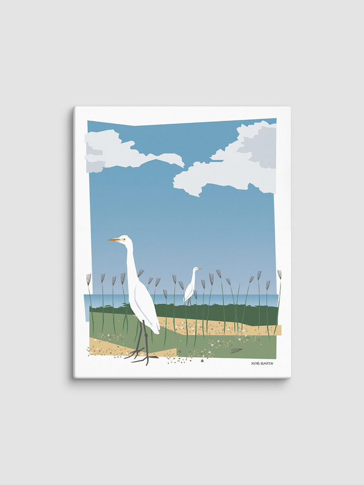 Cattle Egrets product image (2)
