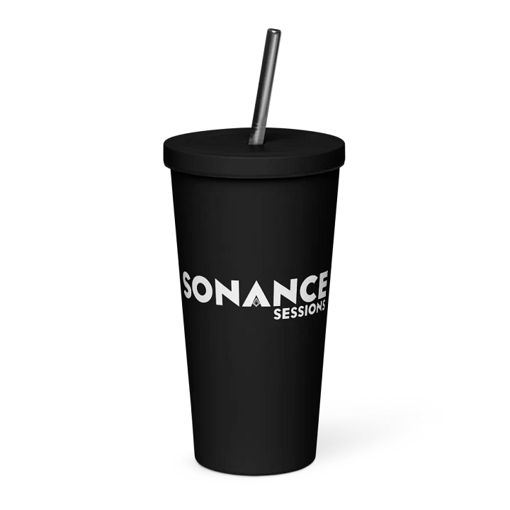 Insulated Tumbler with a Straw product image (1)