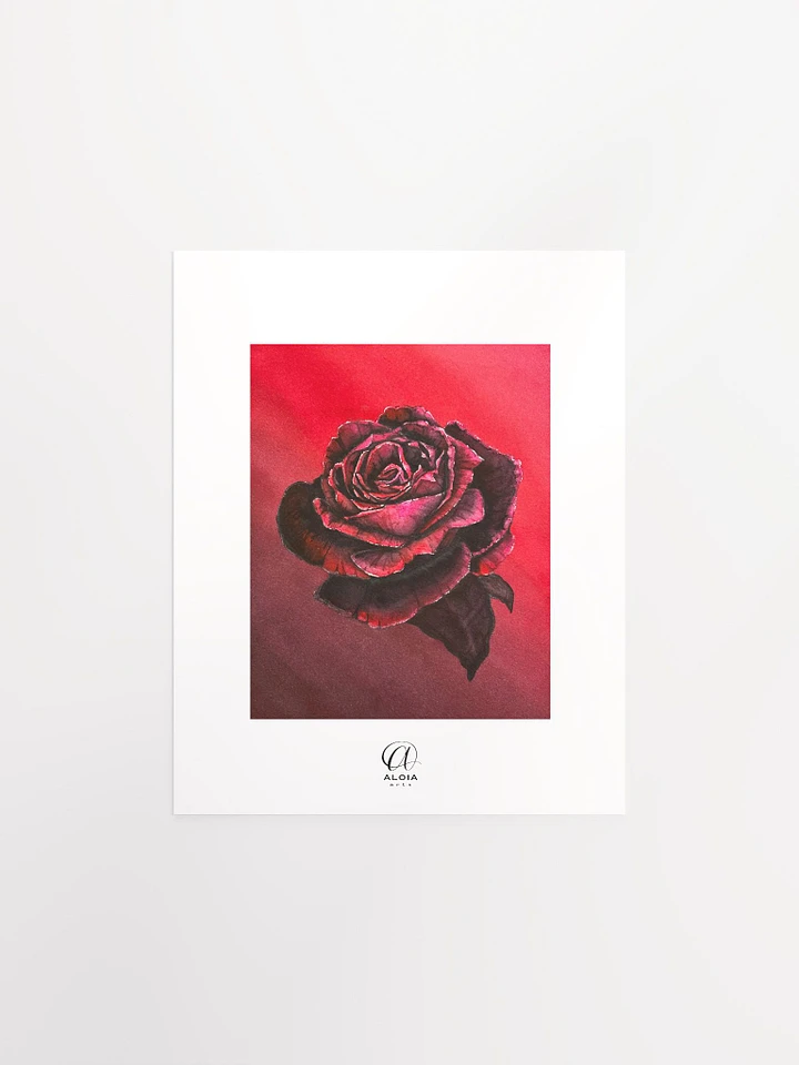 Red Rose Print product image (1)