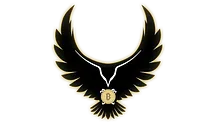 Hawk Crypto & Tech