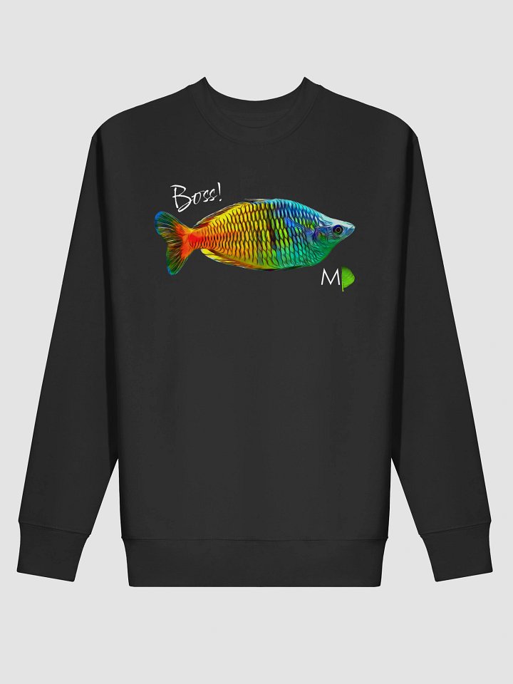 OG Rainbow FRONT PRINT Sweatshirt product image (1)
