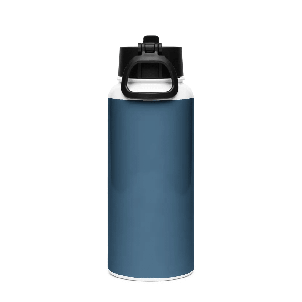 The Power Stainless Steel Water Bottle with a Straw Lid product image (2)