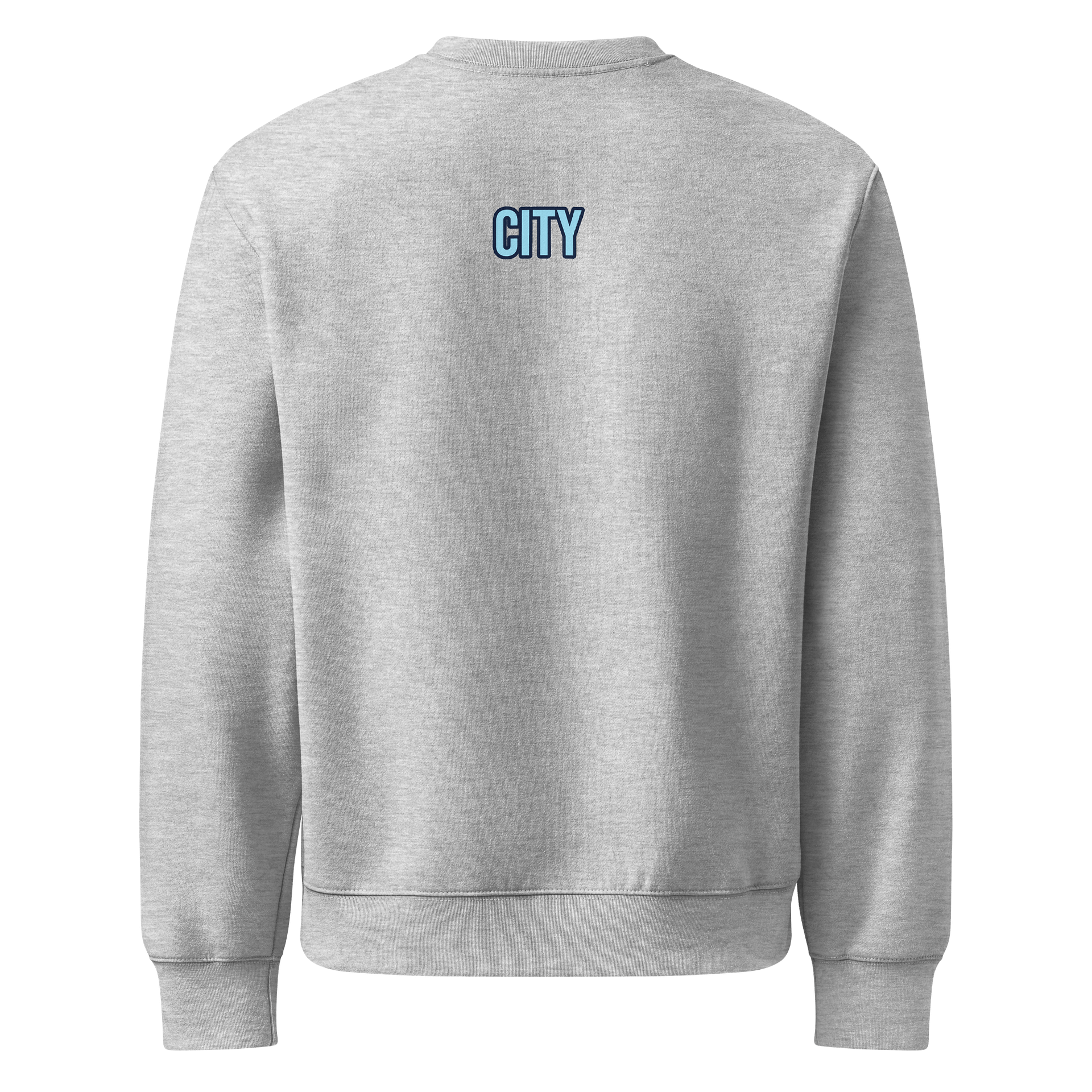 QC oversized sweatshirt product image (6)