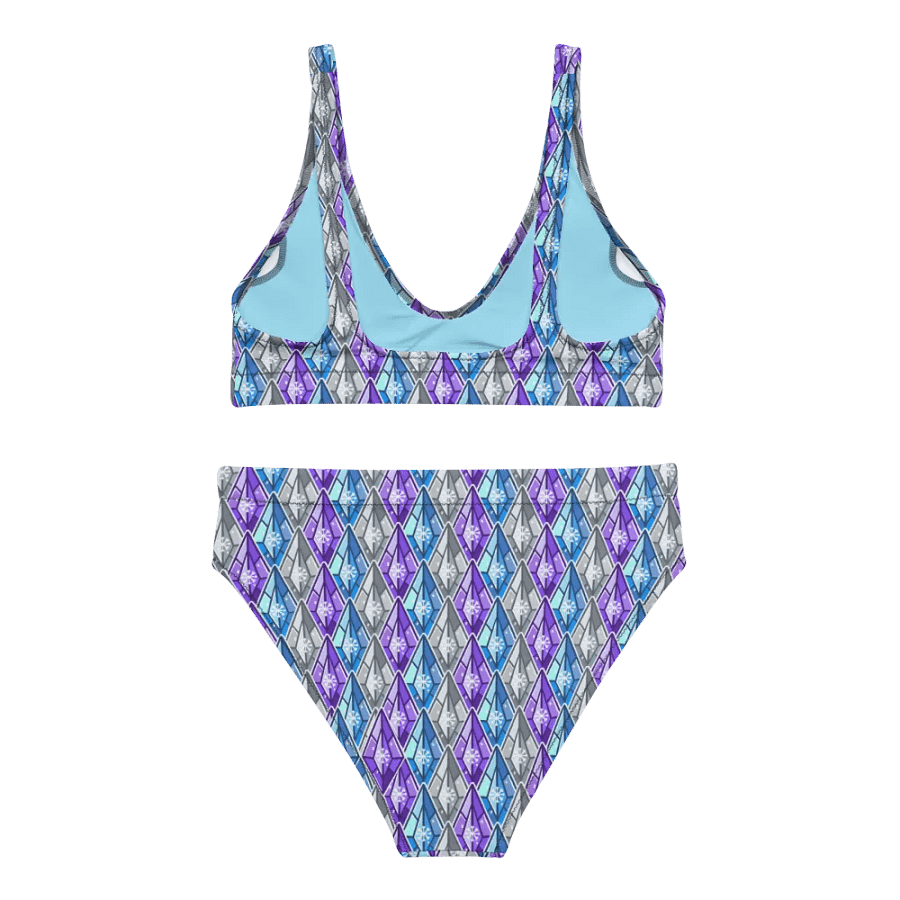Snowshard Bikini product image (5)