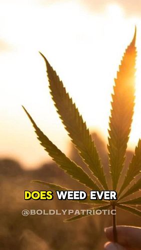 Truth About The Green Stuff 🍃