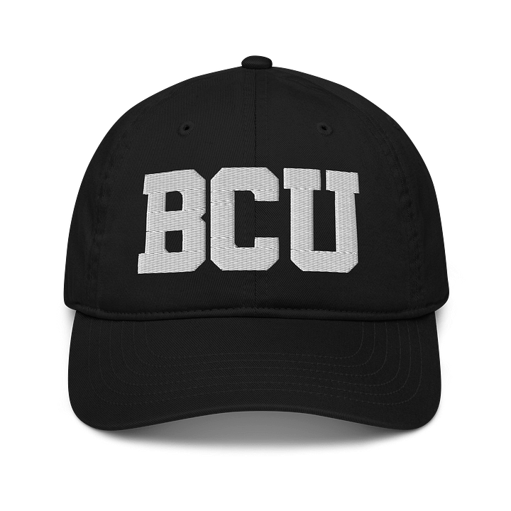 BCU Organic Dad Hat by Econscious product image (1)