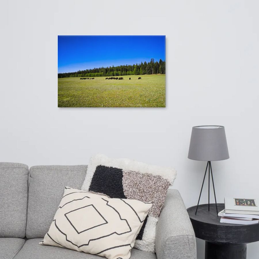 Grand Canyon Buffalo Graze product image (10)