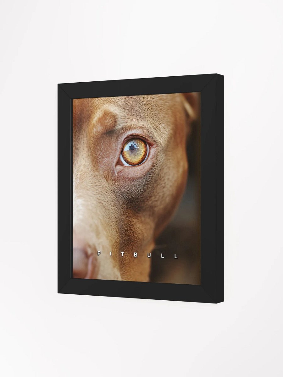 Pitbull's Eye Matte Poster product image (23)