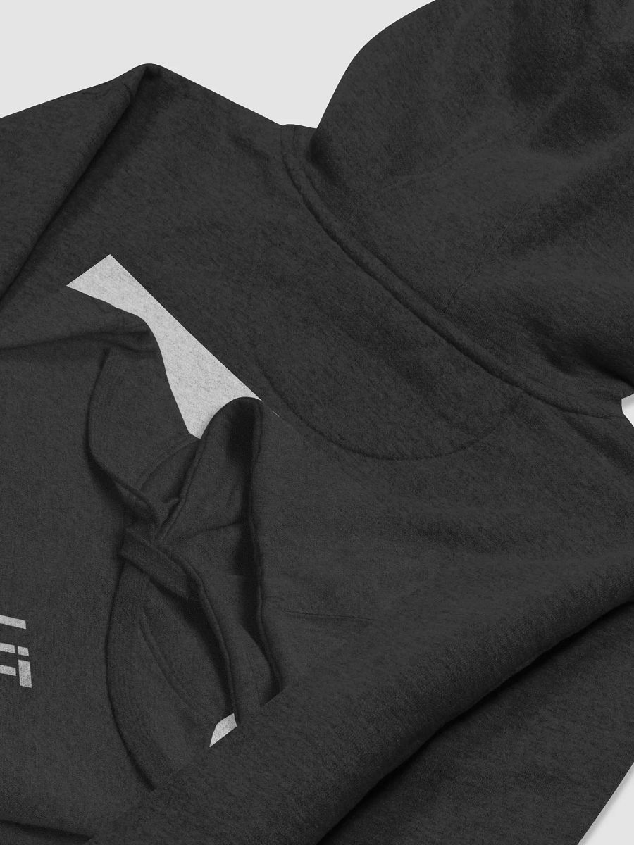 LIT Spring Hoodie product image (4)