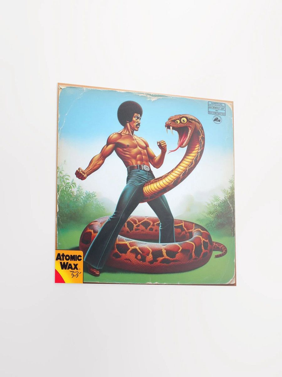 Kung Fu D*ck Poster product image (8)