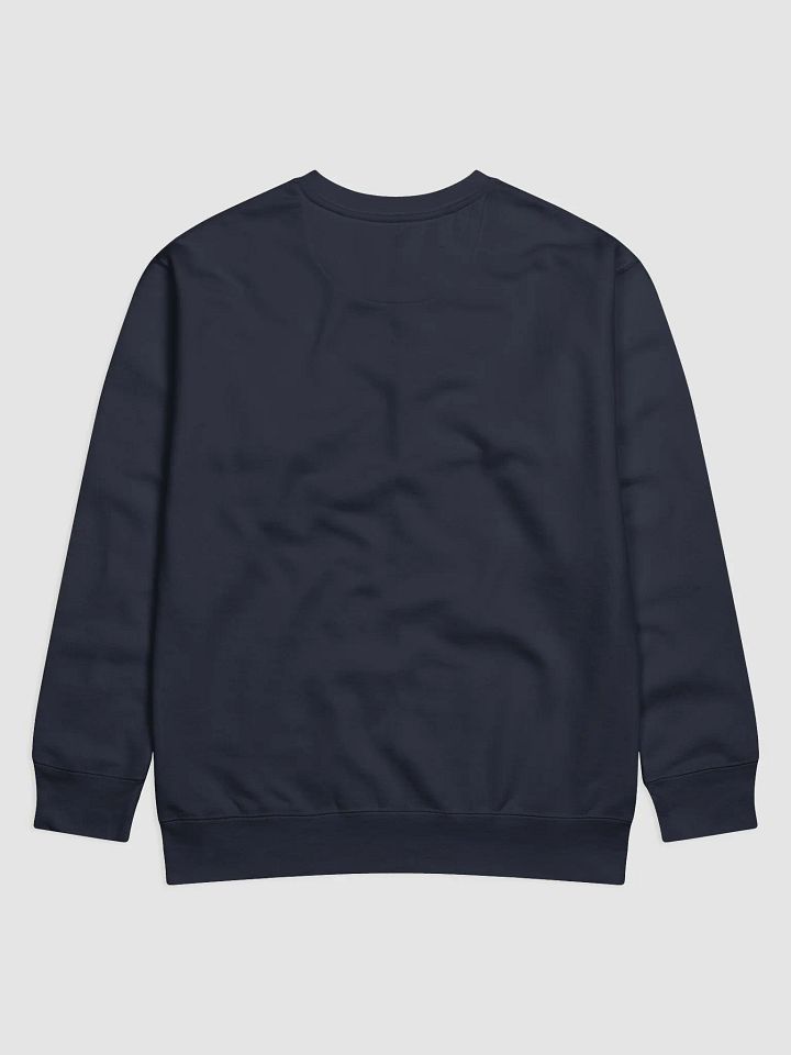 There are no blue states Map Premium Sweatshirt product image (12)