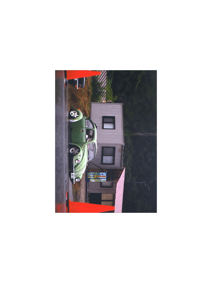 Buggin Out (Poster) product image (1)