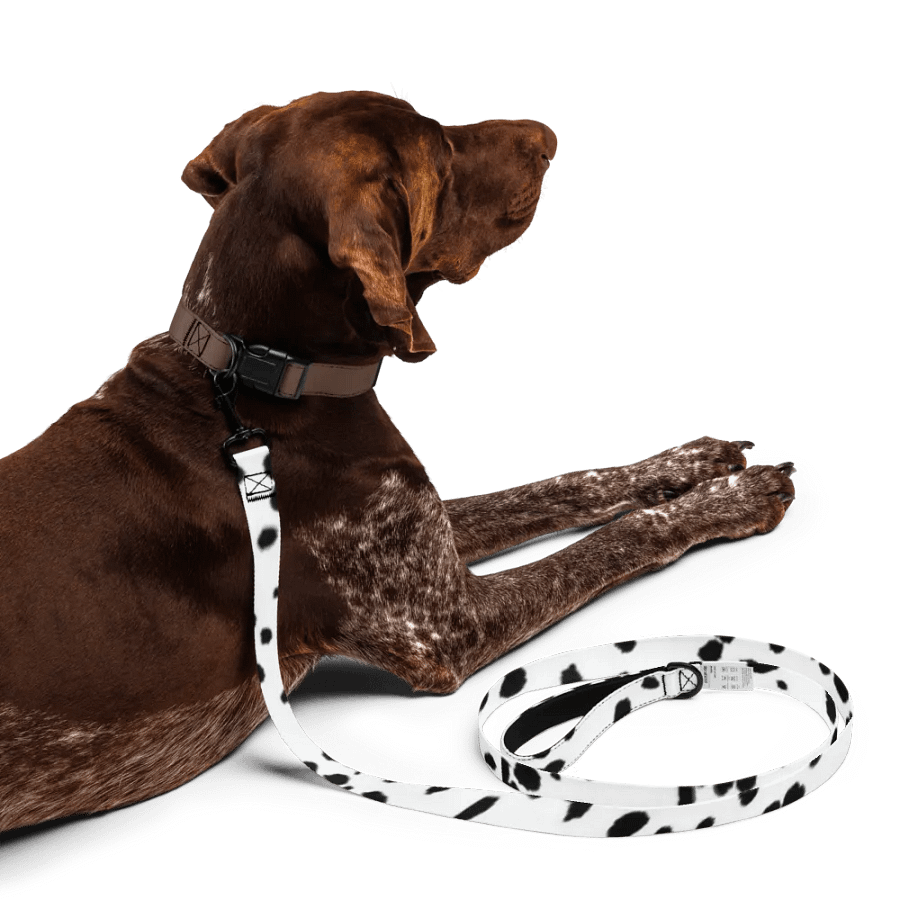 Dalmatian Dream Pet Leash product image (5)