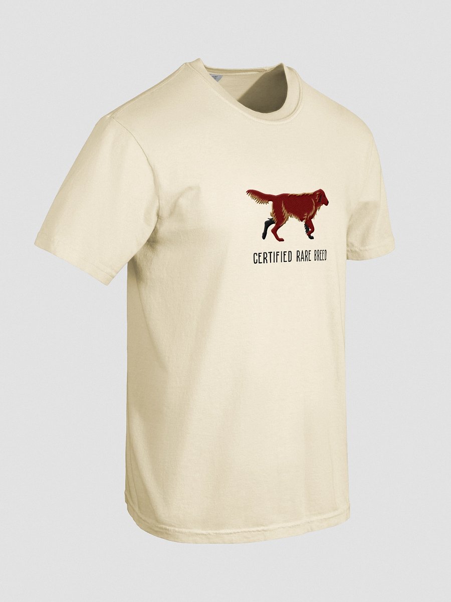 Certified Rare Breed T-Shirt(Embroidered) of a Flat-Coated Retriever(Chocolate) product image (58)