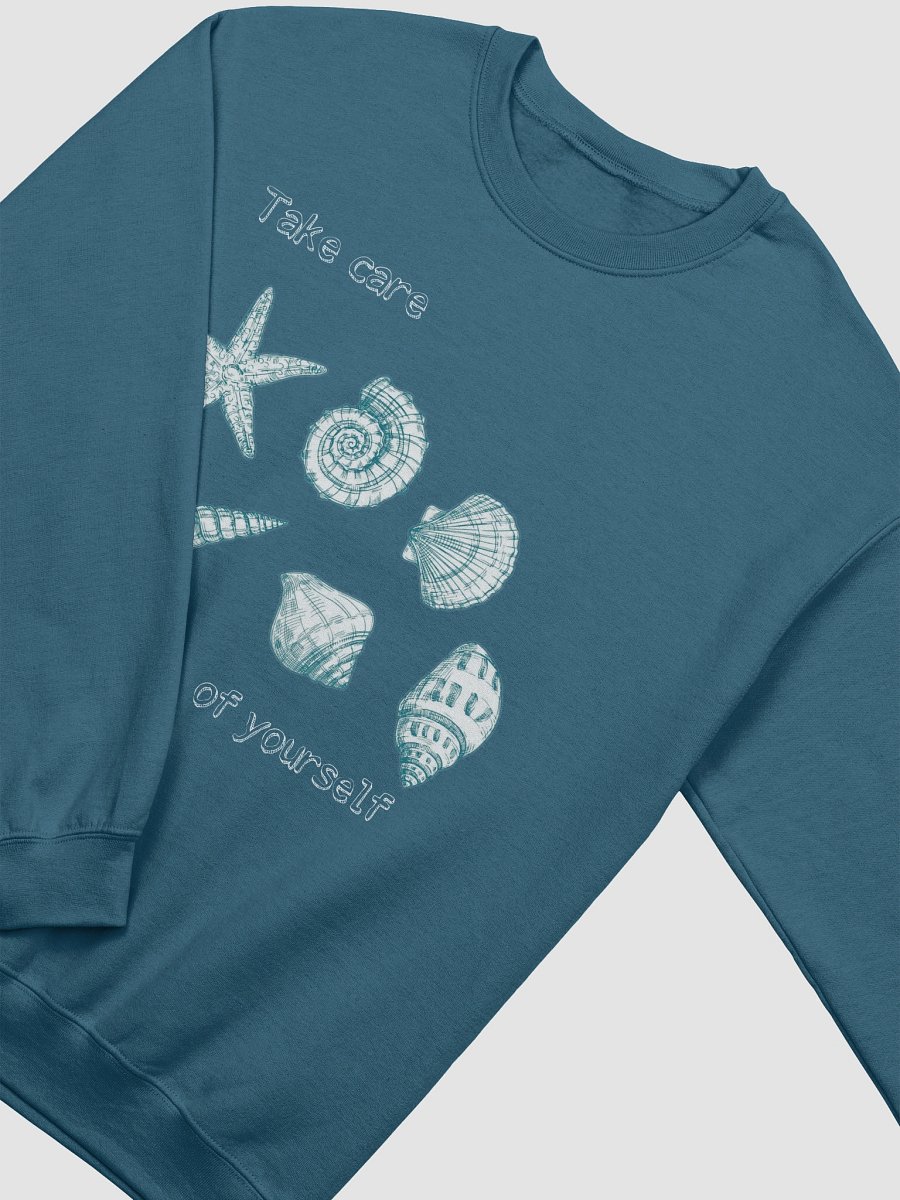 take care of yourself sweatshirt product image (3)