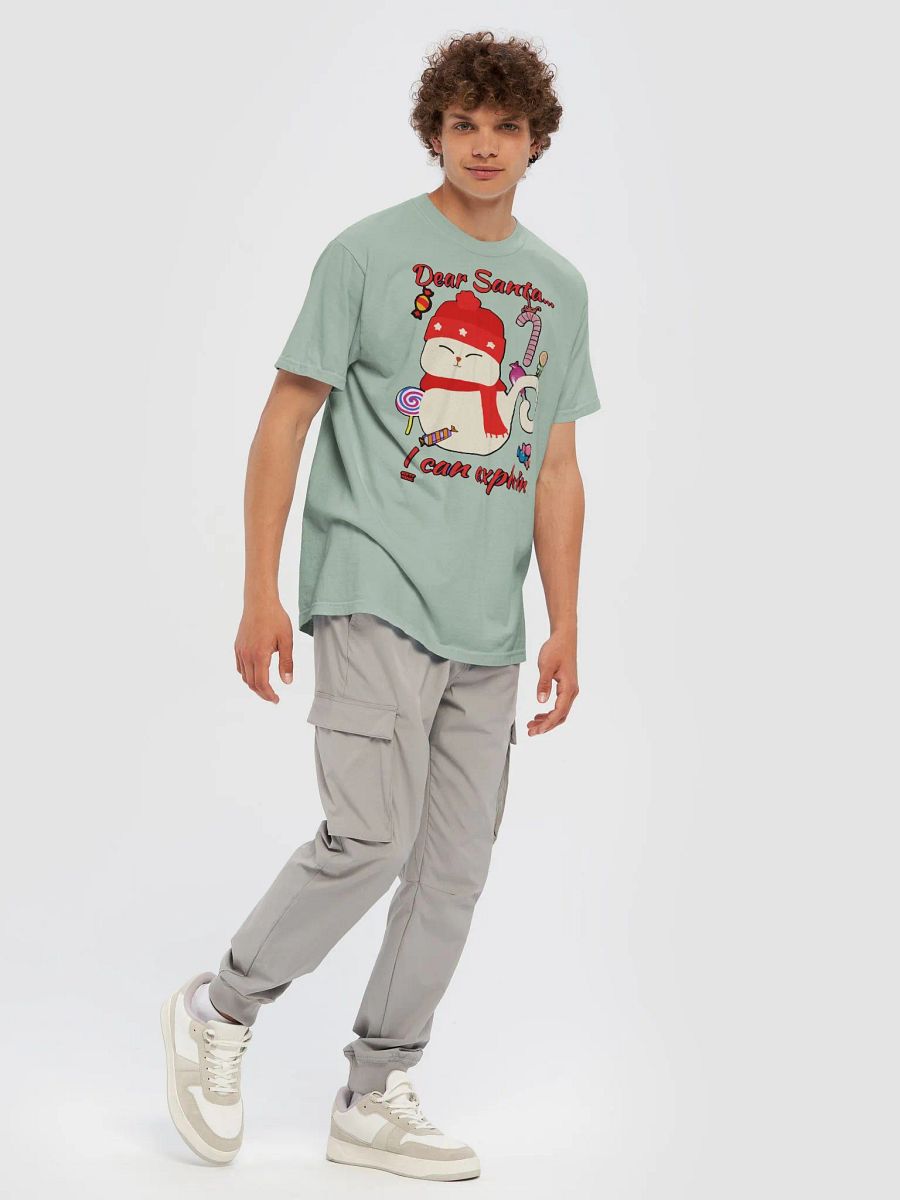 DEAR SANTA, I CAN EXPLAIN! product image (88)