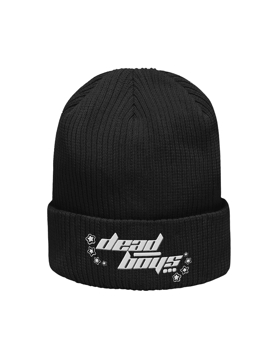 beanie product image (1)