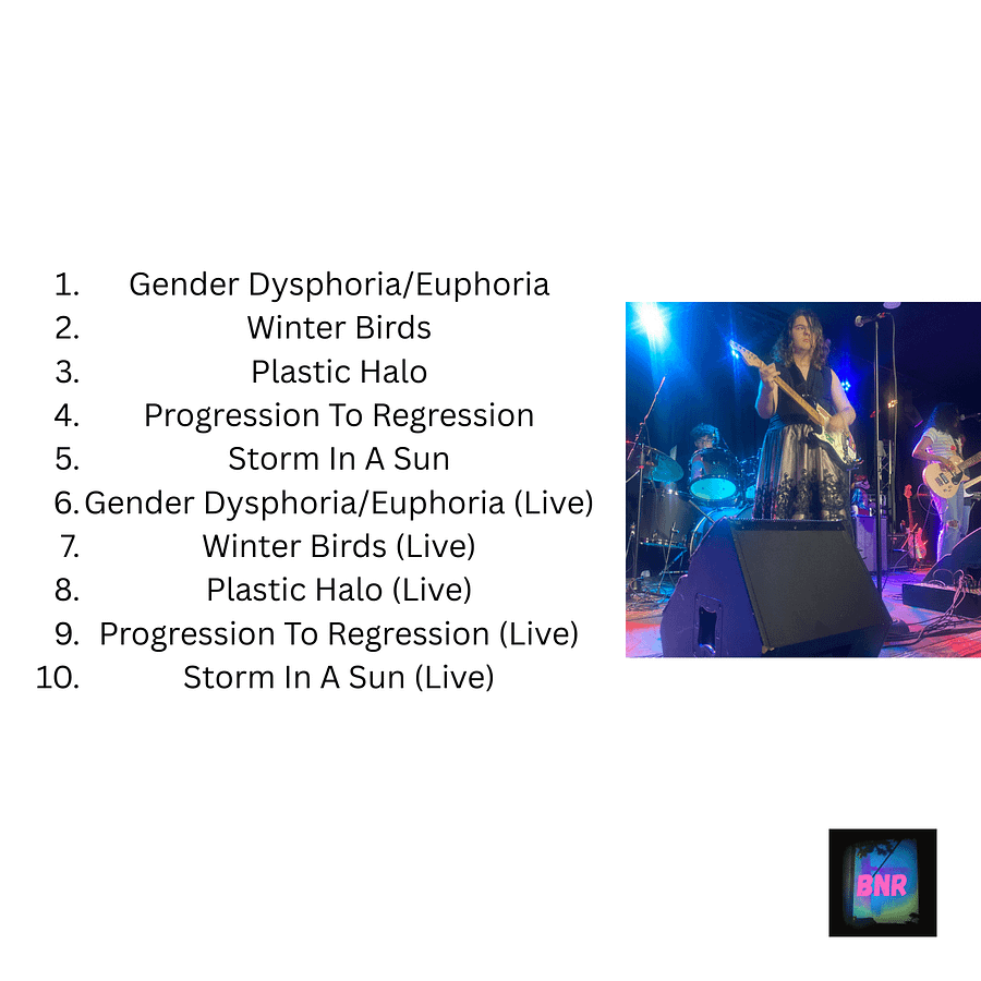 The Everything Bagel - Self-Titled CD product image (2)