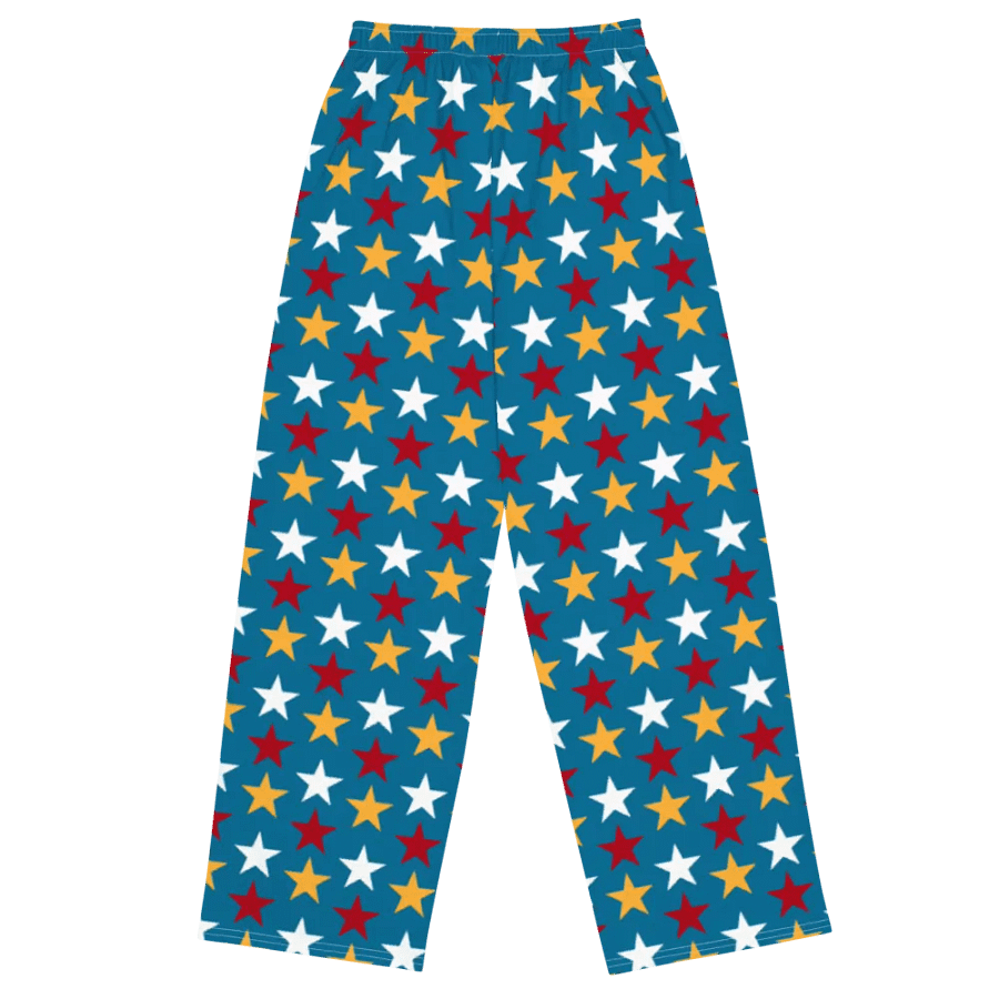 The Bonesdale Wide-Leg Pants product image (1)