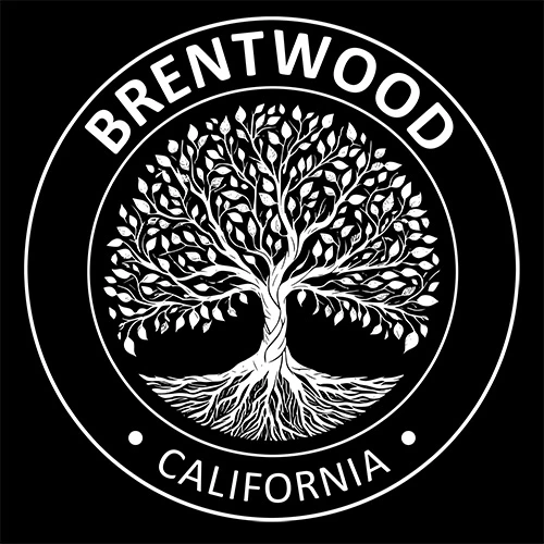 Brentwood California Souvenir Gift Unisex T-Shirt product image (2)