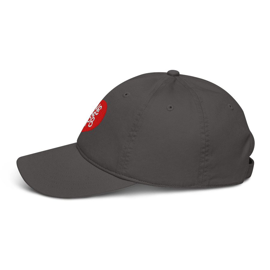 Save the CFPB Baseball Hat (100% Organic Cotton) product image (3)