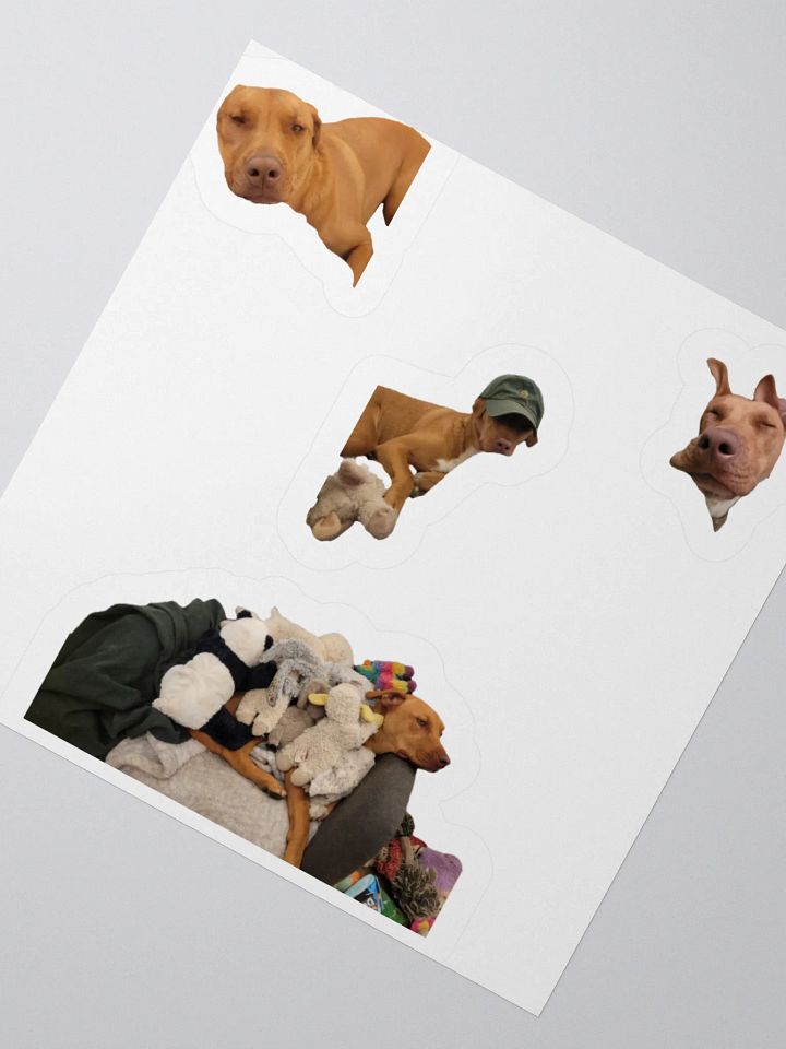Ginger product image (2)