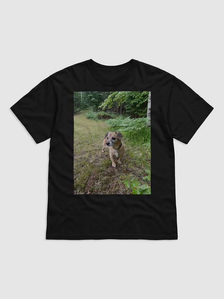 Rocky Tee product image (1)