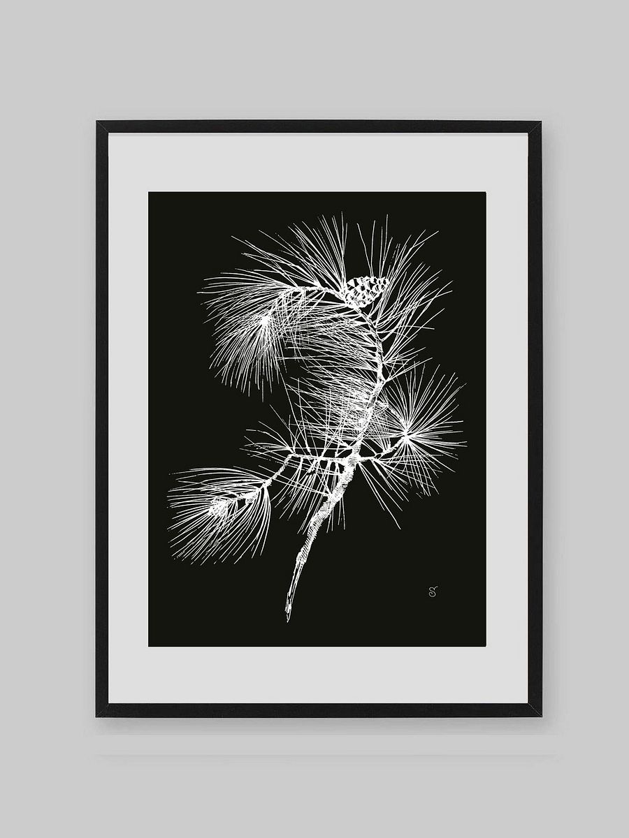 Whimsical Pine Branch Poster - Pine Branch Dark product image (8)