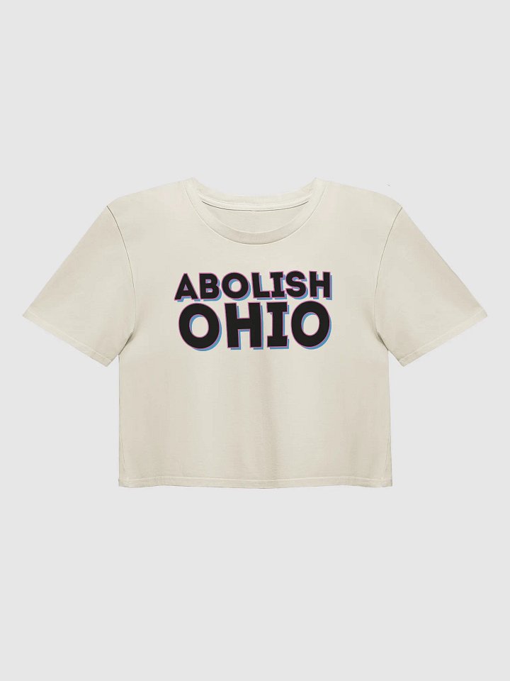 Abolish Ohio Crop Top - White product image (1)