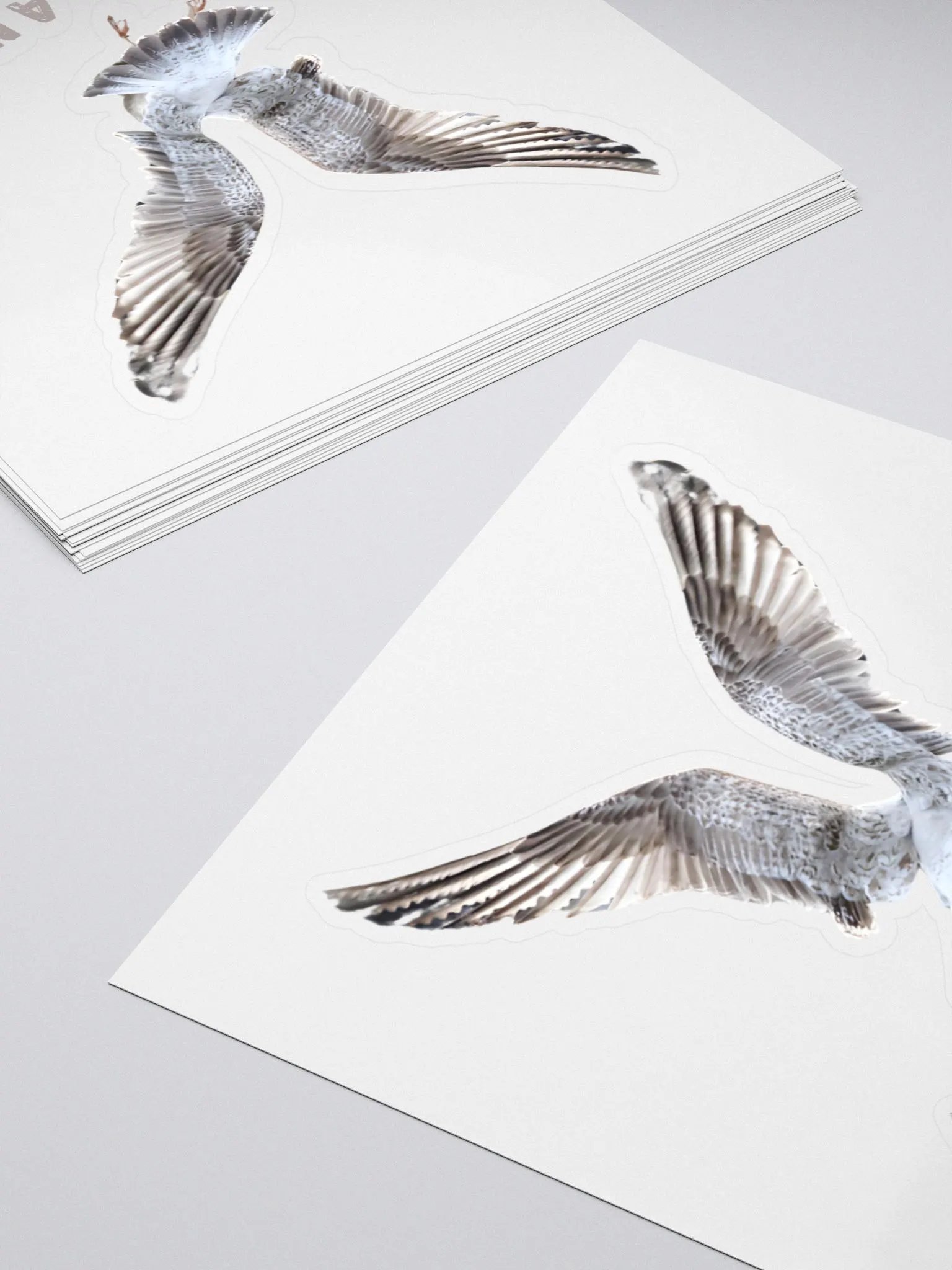 I'm No Angel Seagull Kiss Cut Stickers product image (11)