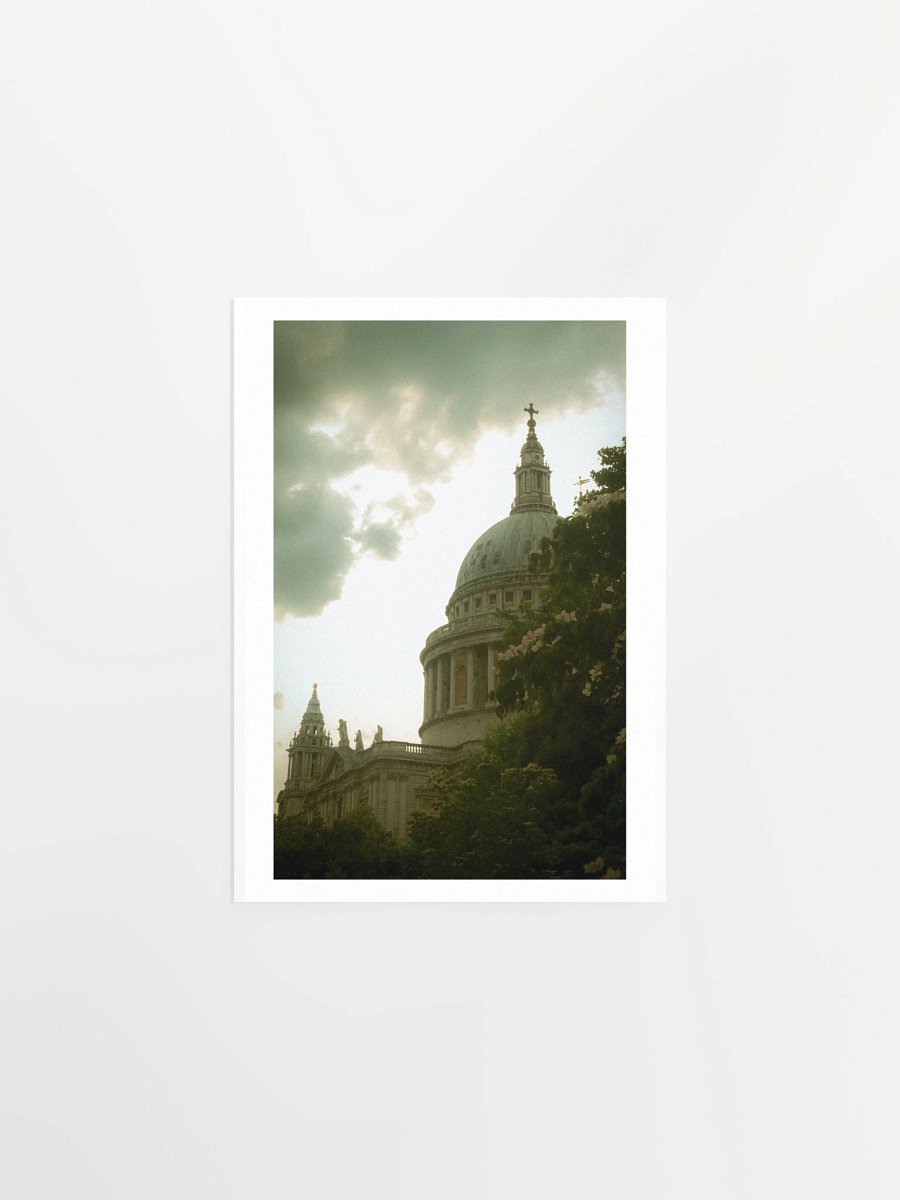 Flowers of St. Paul - Print product image (2)