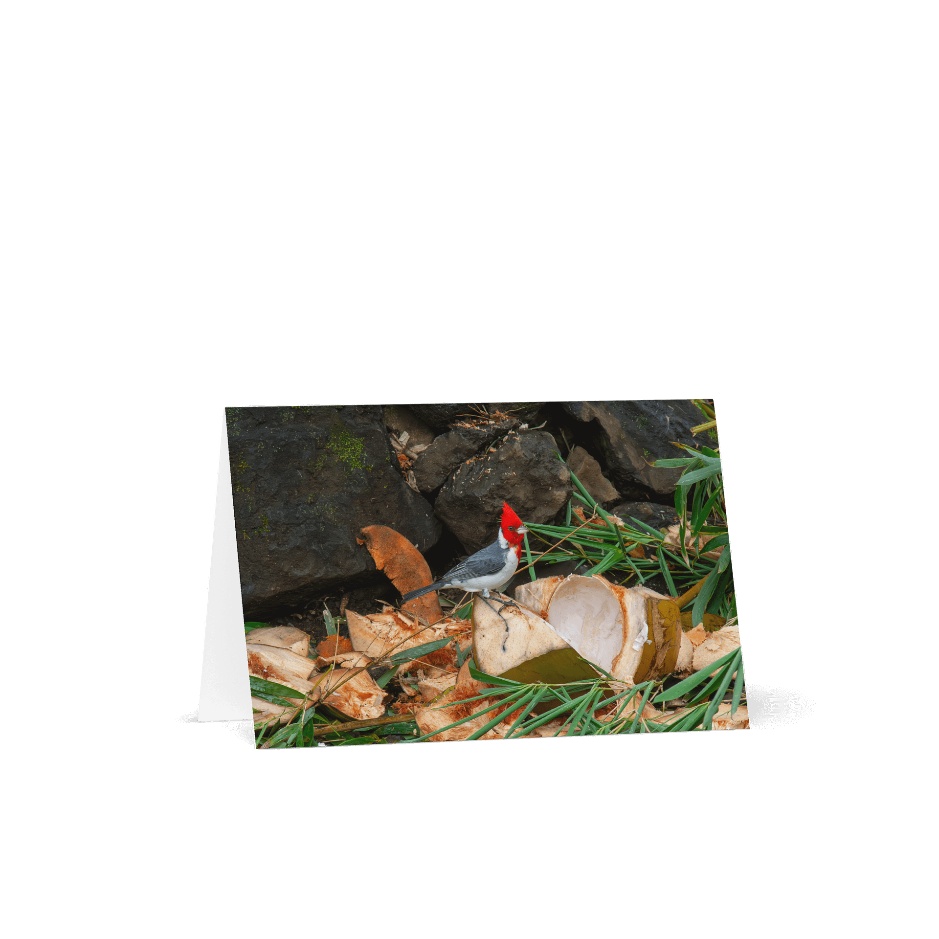 Tropical Bird Greeting Card product image (1)