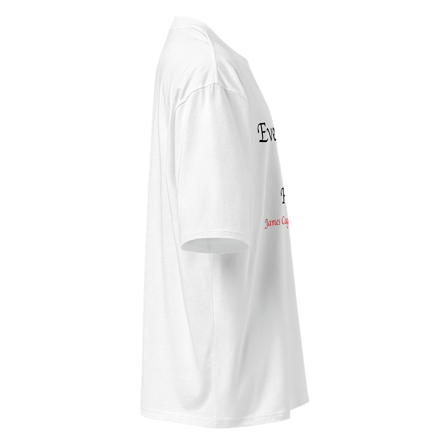 Cotton Heritage Oversized Heavyweight T-Shirt: fate product image (3)