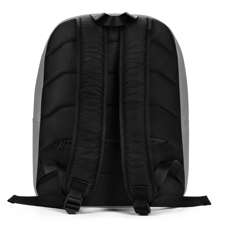 Overpacked & Underqualified Backpack product image (5)