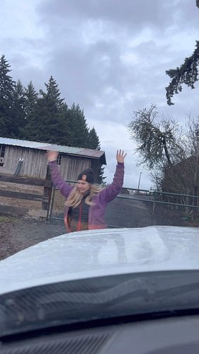 Trying to keep my horses from escaping. 😂

#horses #horsesofinstagram #funnyhorses #horselove #horseriding #horsegirl #horsep...