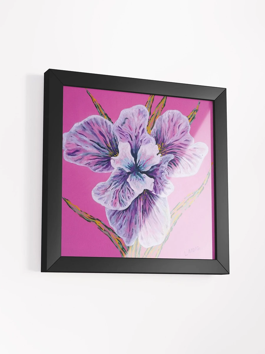 Persian Pink Remix Framed Print product image (32)