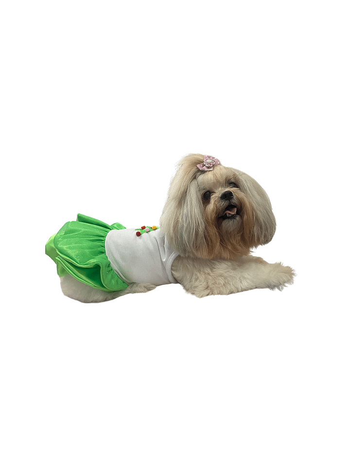 Vestido Encanto de Natal - Modelagem Pet PDF product image (2)