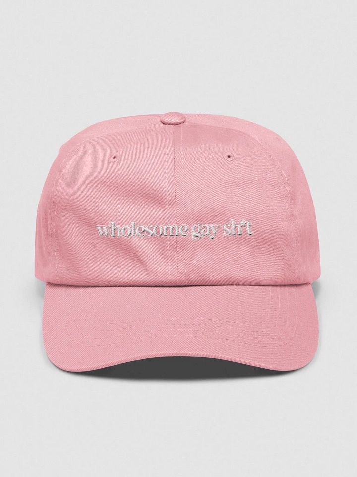 Wholesome Gay Hat product image (1)