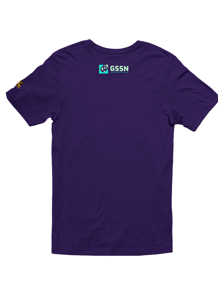 Premier Simulation Basketball - PSB St. Louis Reign Logo T-Shirt product image (5)