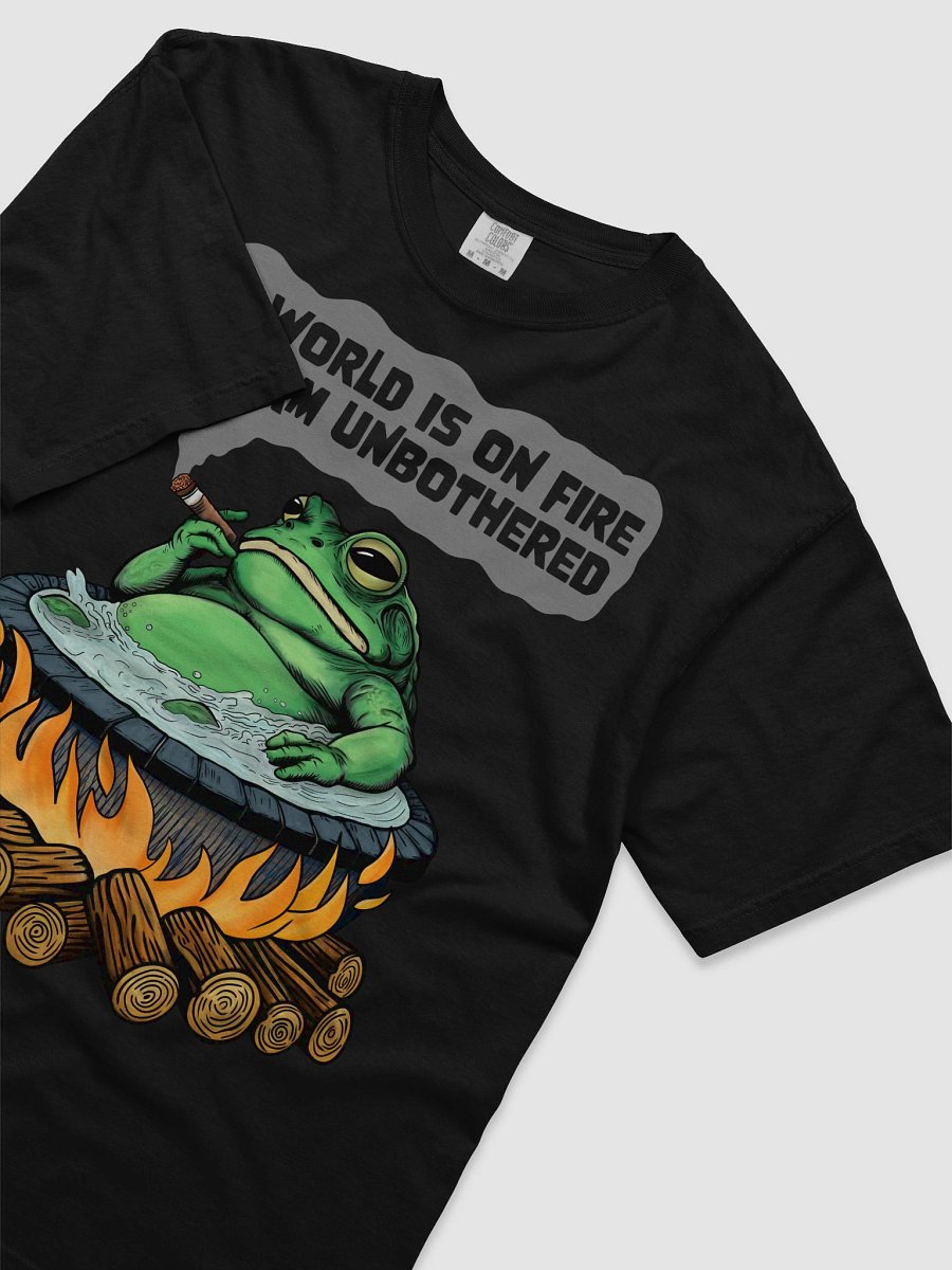 The World is on fire product image (33)