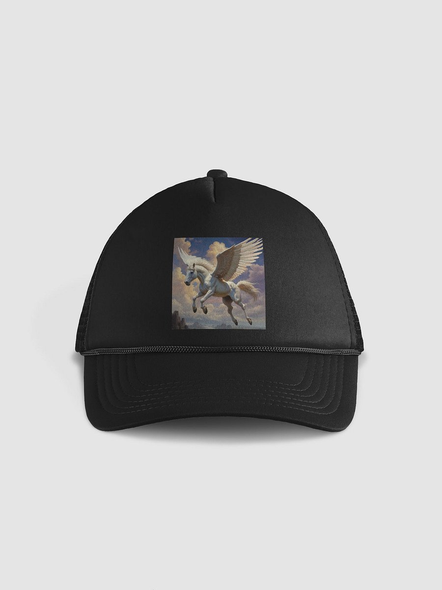 Pegasus product image (1)