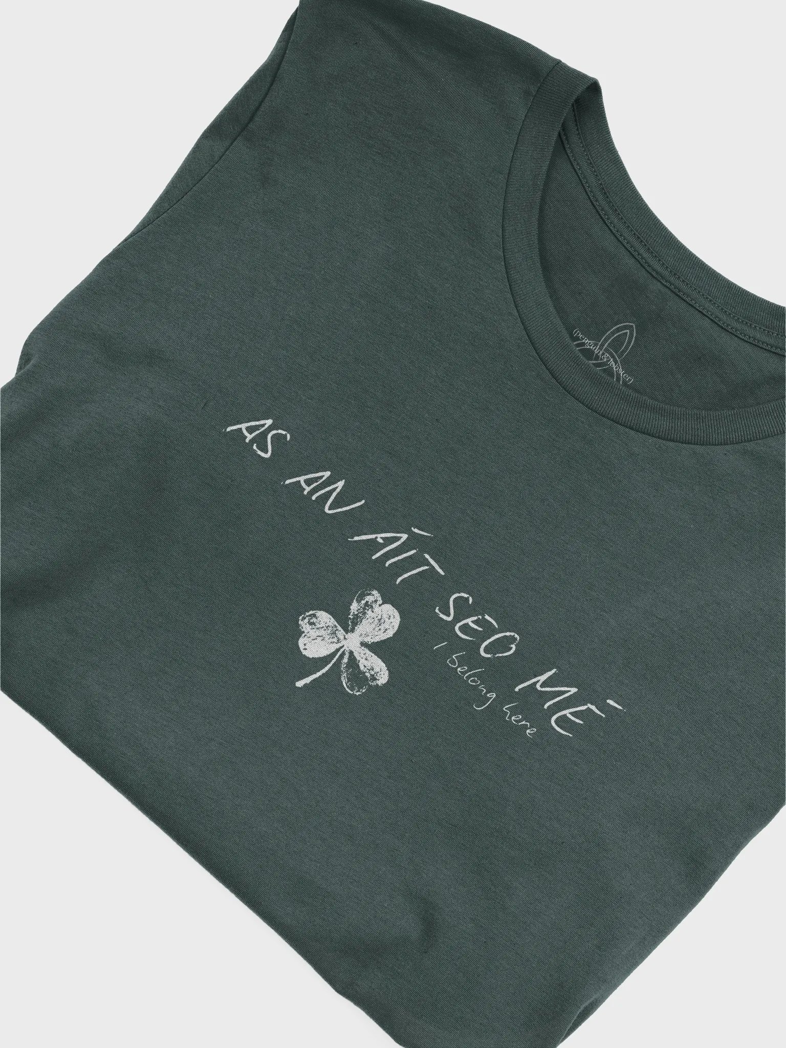 As An Áit Seo Mé ( I Belong Here) T-shirt product image (3)