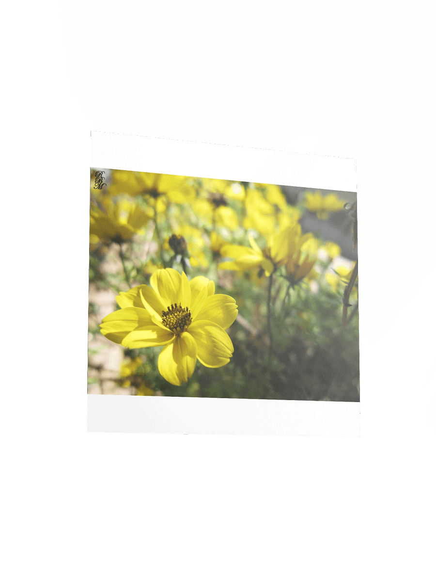 Yellow Flowers product image (11)