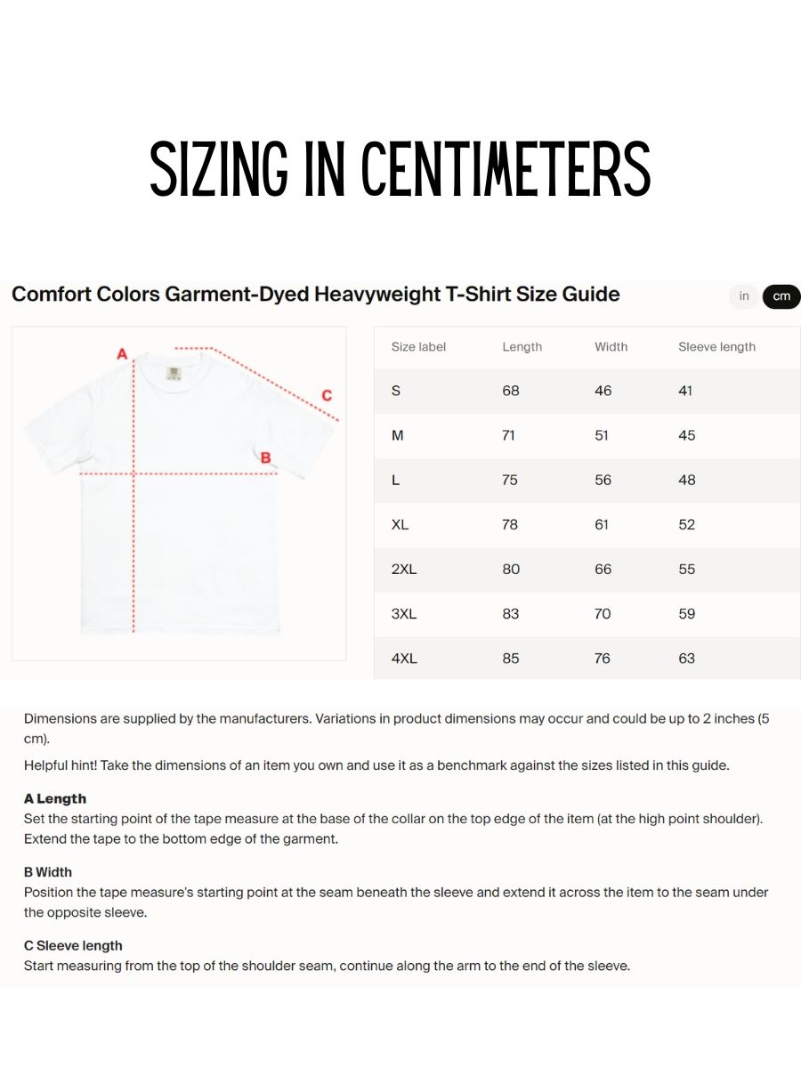 Wanted Dirty Bird Gang Comfort Colors Heavyweight T-shirt product image (6)