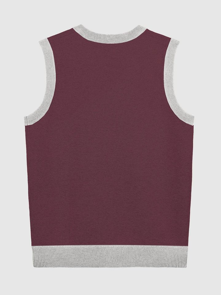 Mouthful of Style Knitted V-Neck Vest product image (9)