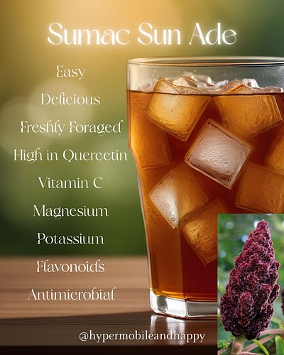 For someone with MCAS, this might be the perfect late-summer beverage!!!

Sumac Sun Ade tastes similar to lemonade, but it is...