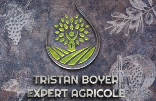 Cartes de visite sur mesure product image (5)